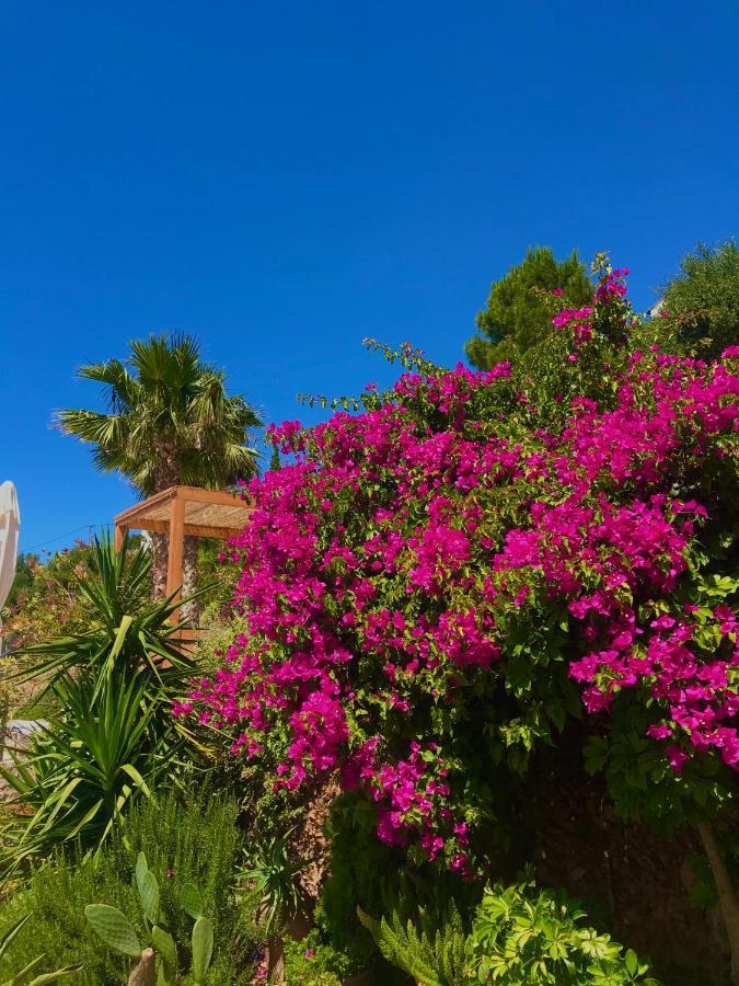 Luxus Tholos Bay Екстериор снимка
